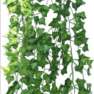 Urban outfitter vine room decor